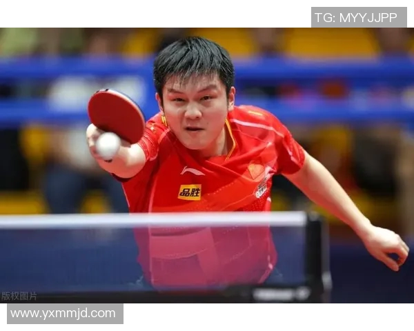 上海队与福建队激战正酣谁将赢得这场精彩对决的胜利